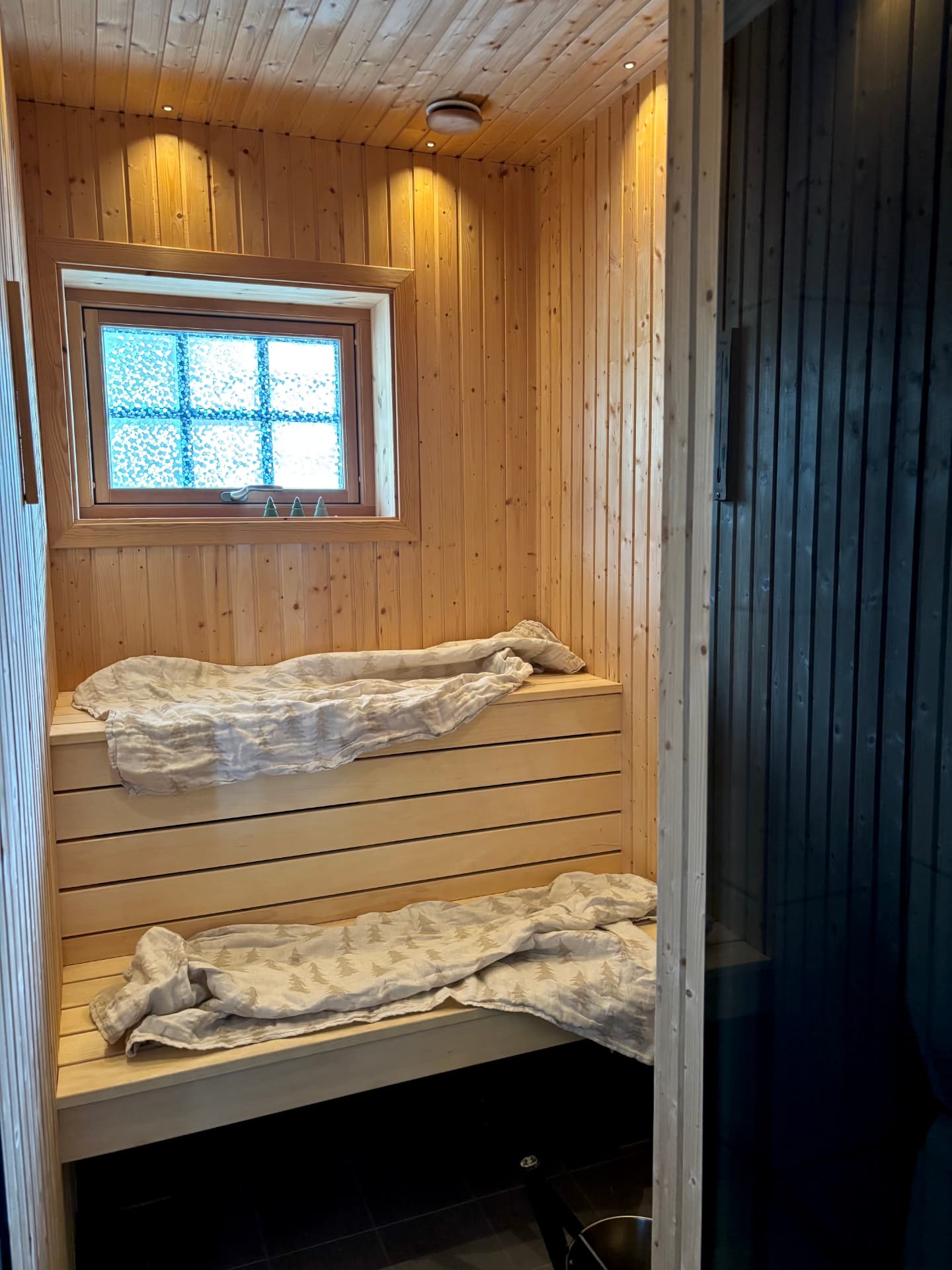 Bastu med träpanel, bänkar och fönster